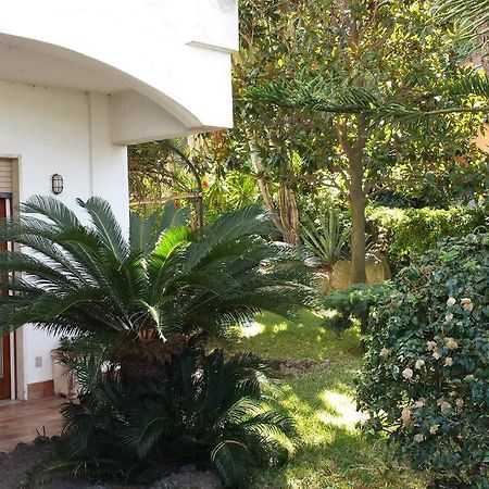 Giardino Mediterraneo Lacco Ameno  Exterior foto